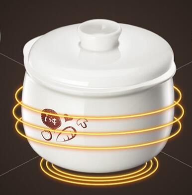 Olla eléctrica lenta Bear HOUS - Baby Food Stew reseña y precio