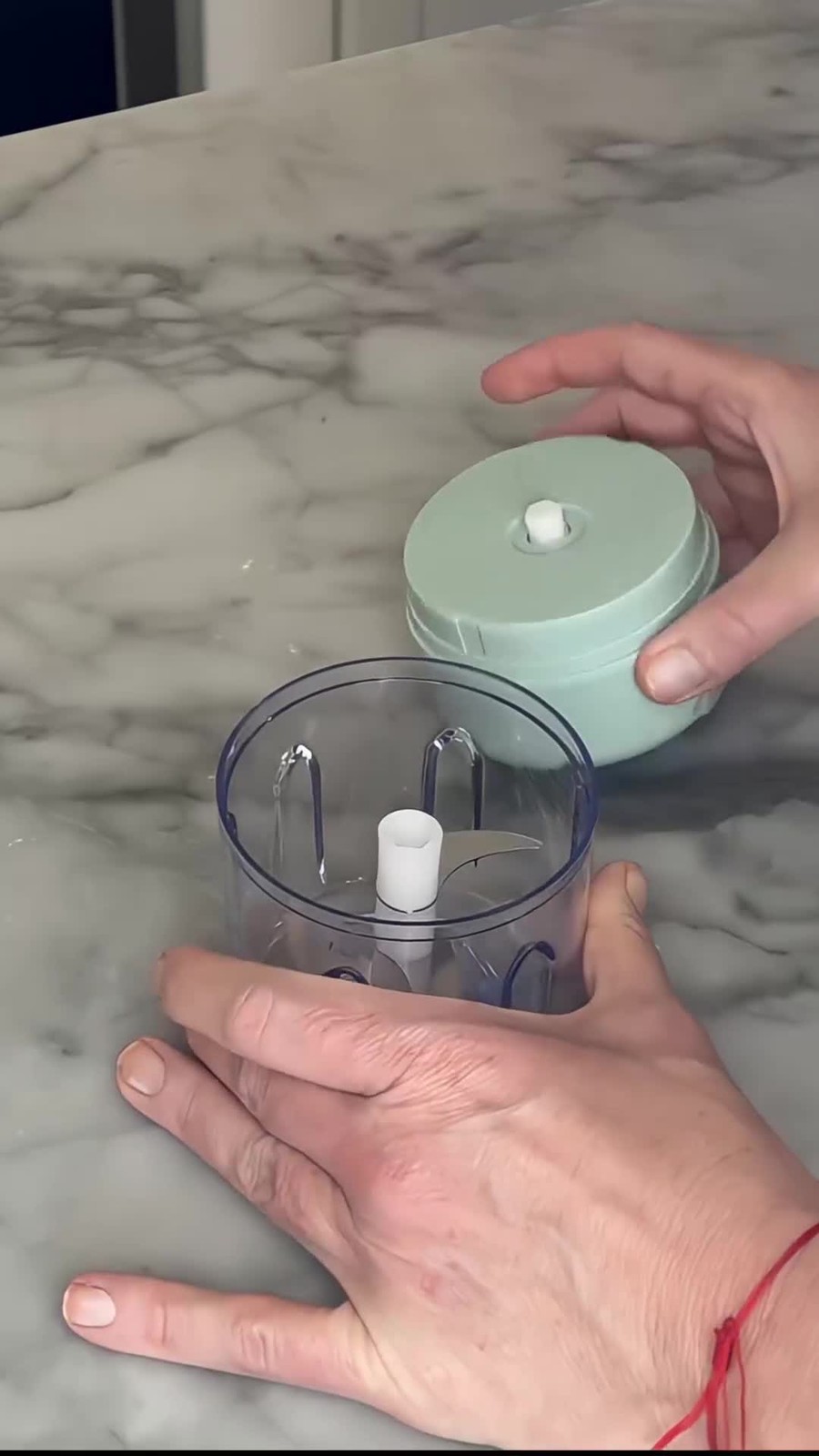 Picadora de Ajo Eléctrica Reca - Veggie Baby Food reseña y precio